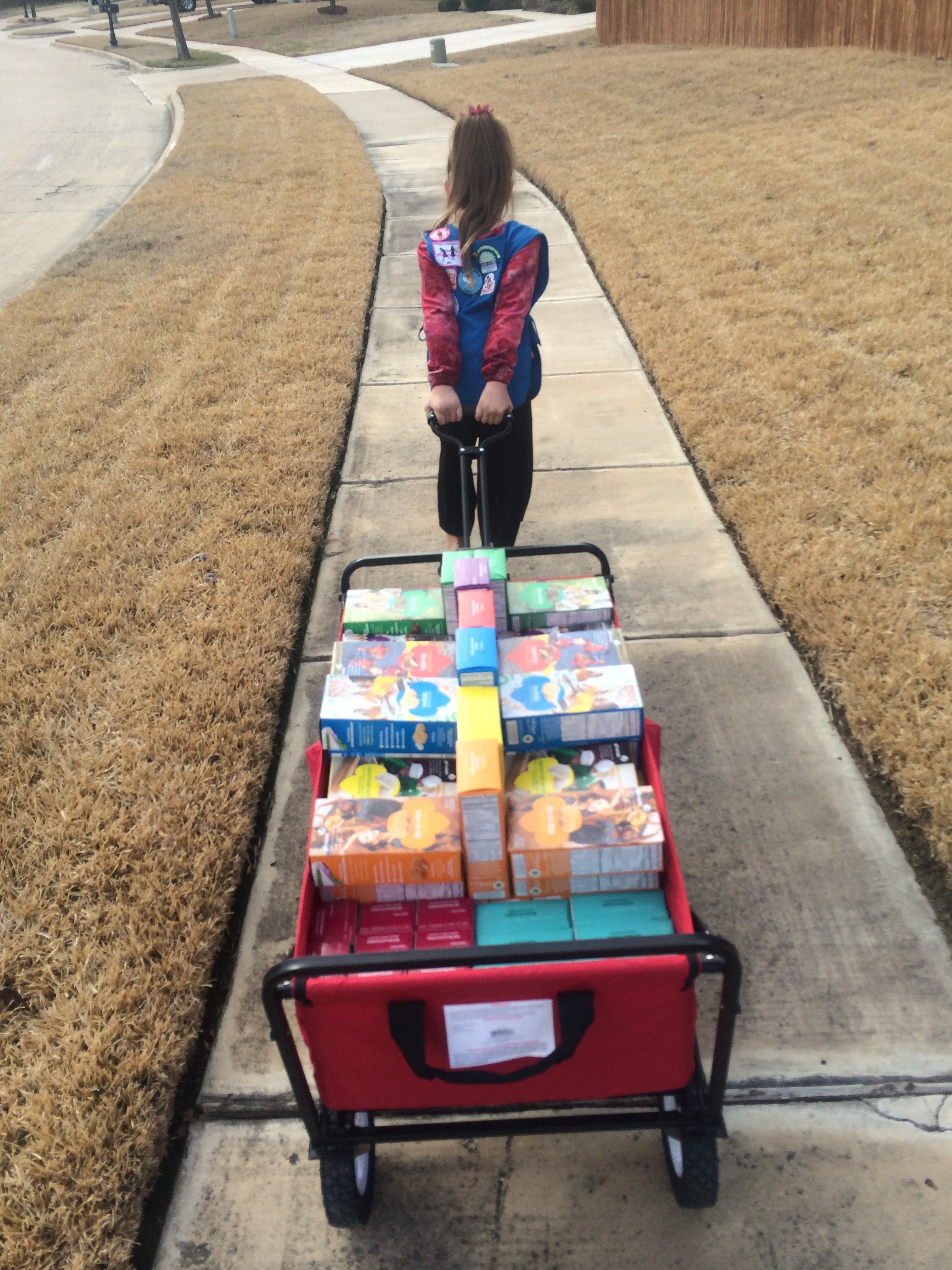 Girl Scout Cookie Sales Page for Rylee